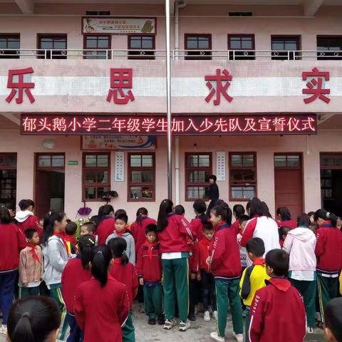 新队员入队仪式