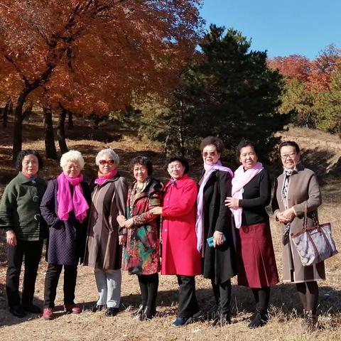 悦赏秋光正当时（一）