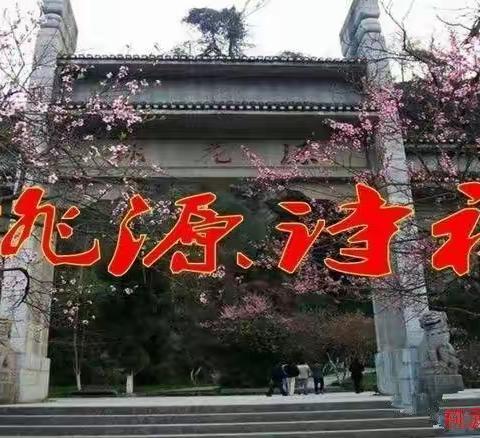 高怀抒素卷 逸韵畅桃源