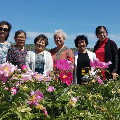 芍药花海众仙来