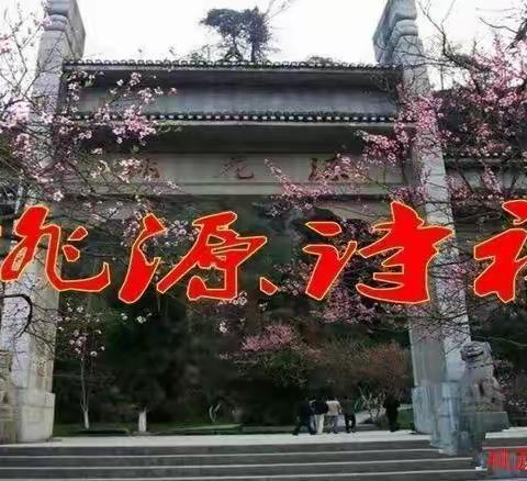 平直浅淡写心声