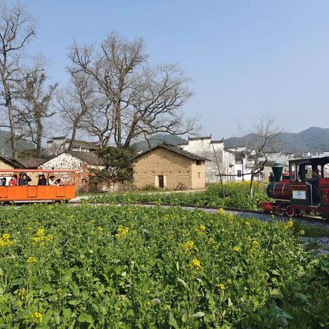 寻春踏青去——婺源县税务局三八节活动