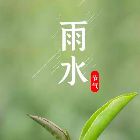 🌸雨水至，万物生🌸发投第一幼儿园小三班雨水节气美篇