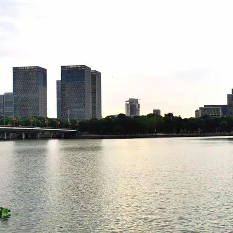 这个夏季雨水特别多