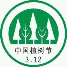 中五班课程故事《世界上的每一寸绿色都值得被保护》