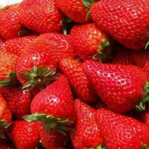 南阳宛城区大山农业科技园甜蜜蜜草莓园开始了快递线上服务咯！合作的是顺丰哦！一定新鲜，一定快！👏👏👏