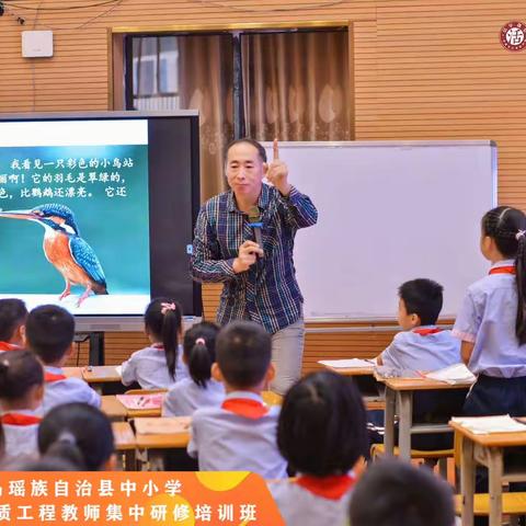 善思而奋进 善研而砺行——巴马瑶族自治县小学阶段阅读提质工程教师集中研修10月13日简报（第八小组）