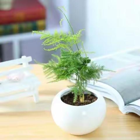 栽花种草，增添绿色，有你有我