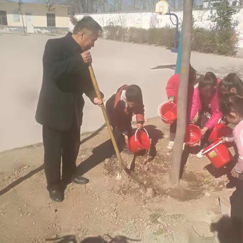 开展3.12植树节活动。