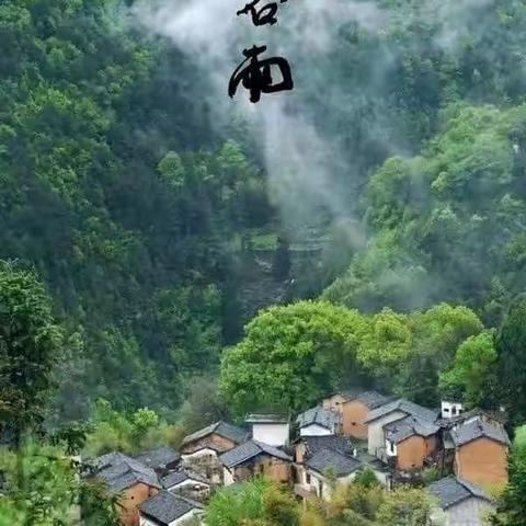 谷雨，一个散发着稻香的润湿的名字(文章来源于网络)