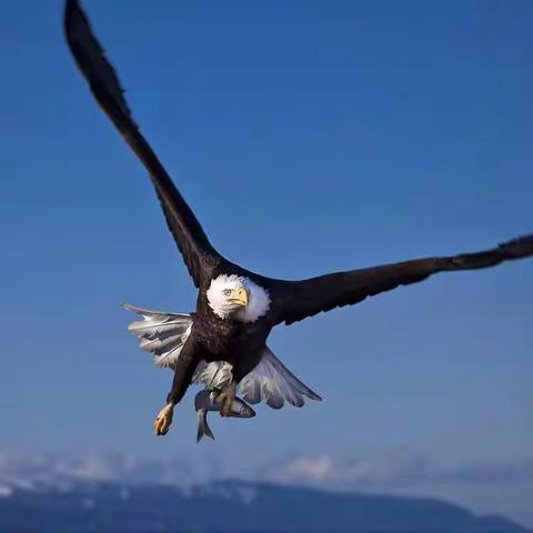 发现特长         激趣成长