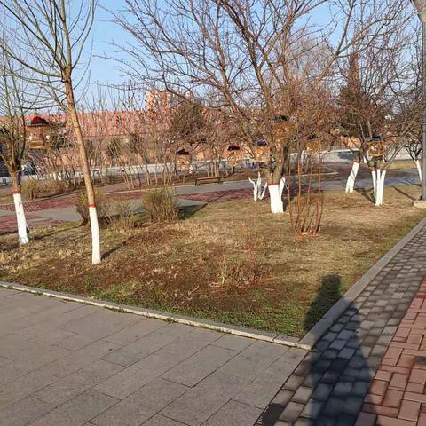 不负春光，不负晨