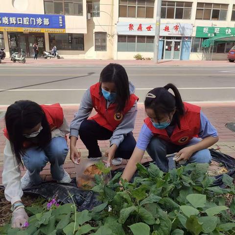 为环境无止境捡拾垃圾活动掠影