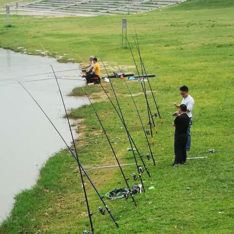 仙湖垂钓