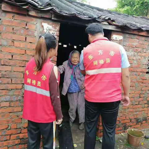 做好放汛防台，维护网格平安