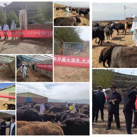 开展大清洗、大消毒、大排查专项行动