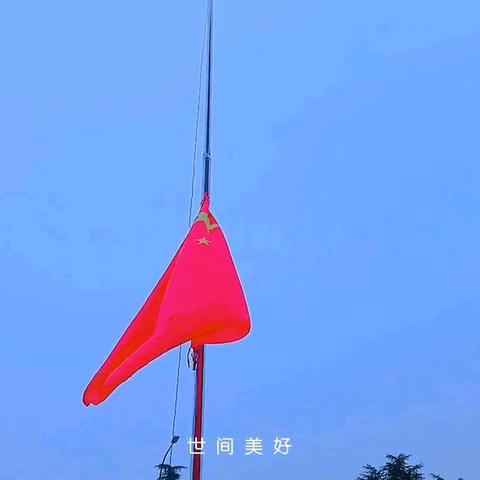 小脚丫国学国学幼儿园宝宝班本周精彩回顾