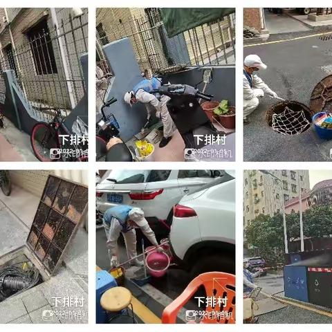 1月5日石岩街道西片区除“四害”工作日报