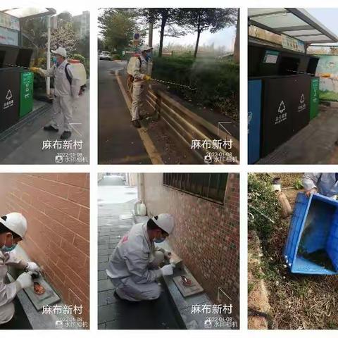 1月8日石岩街道西片区除“四害”工作日报