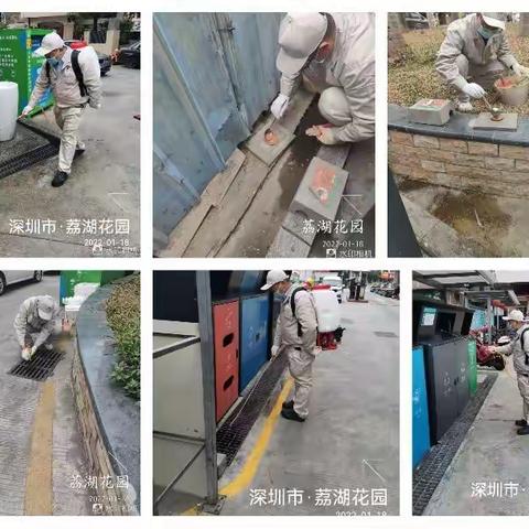 1月18日石岩街道西片区除“四害”工作日报