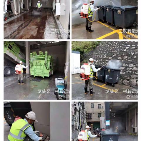 6月9日石岩街道东西片区除"四害"工作日报