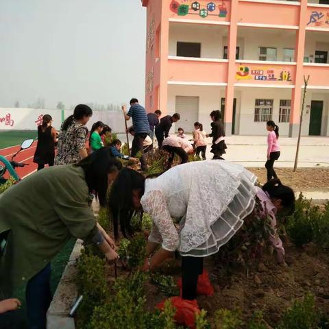 田集学区沿河小学全体教师开展“青春绽放，共建绿色校园”主题义务种花活动
