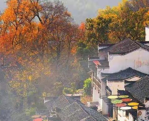 最美乡村忙晒秋，道德法治正当时