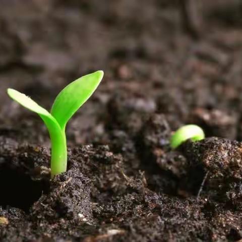 春光旖旎，想留你住我心间