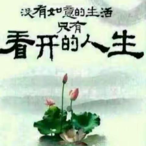 梦里花落的美篇