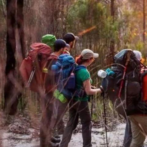 你会使用登山杖吗？🚩🚩🚩跟着星河户外学用登山杖