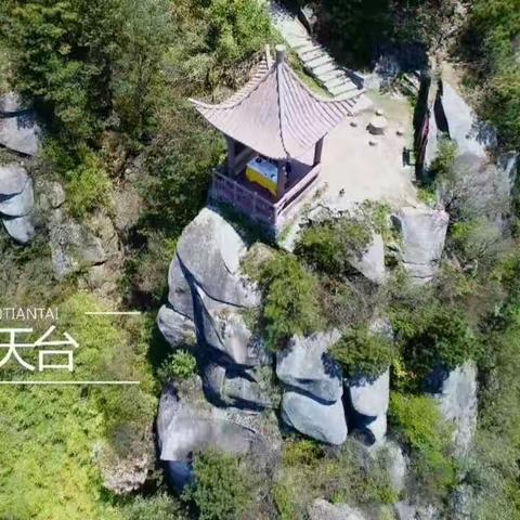 6月16号相约幕阜山一日游（体验森林飞拉达--空中滑索)