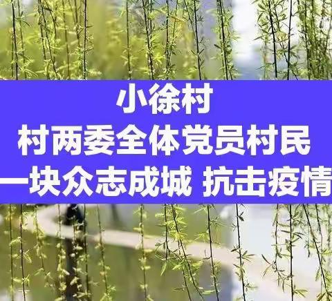 小徐村村两委全体党员村民万众一心众志成城防控疫情