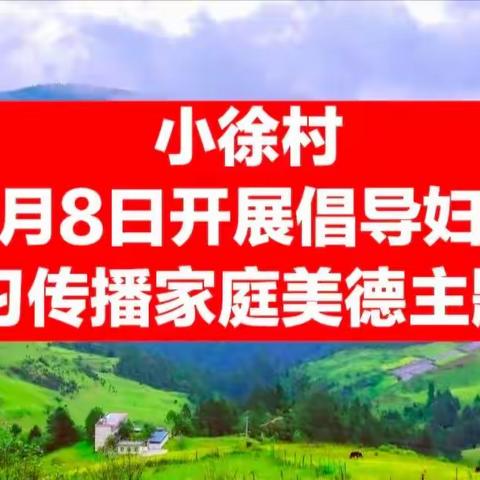 小徐村开展倡导妇女学习传播家庭美德主题日