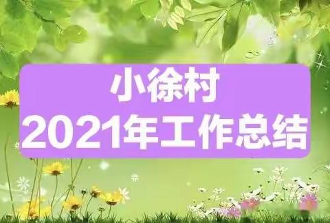 小徐村2021年度工作总结