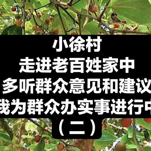 小徐村我为群众办实事（二）