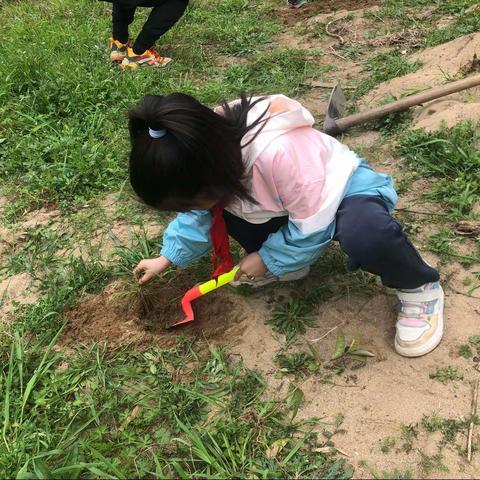 雷锋纪念日之乡村采风———植树活动