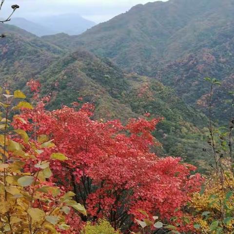 秋韵——子午峪