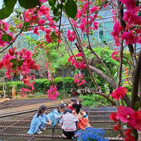 3.20周报（院里花儿开）