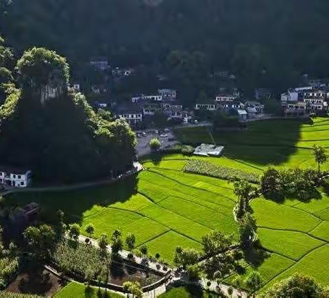 阳头升乡环境卫生大整治活动（三）