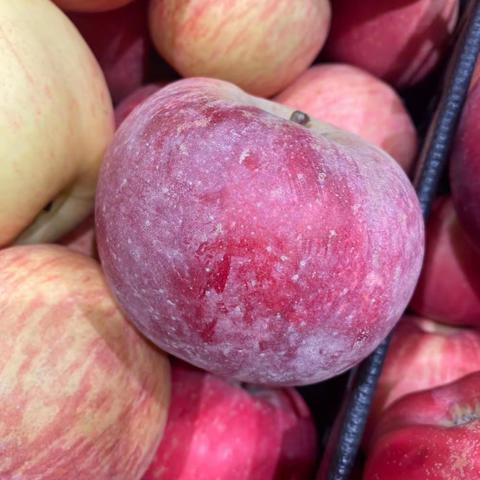 1月1号中午巡场整改美篇