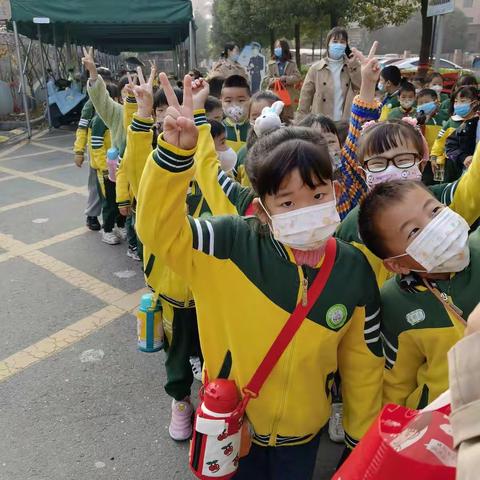 大五班快乐的拔萝卜之旅