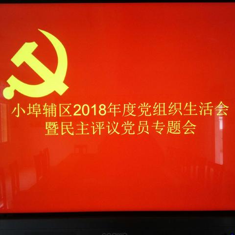 桐木镇小埠辅区党支部召开2018年度党组织生活会暨开展民主评议党员会议（副本）