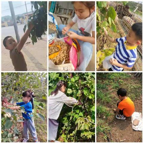 国庆假期体验劳动最有滋味---栖霞市实验小学一年级一班学生