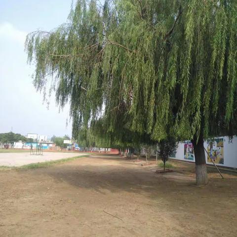 新学期，新气象——新寨中心小学师生劳动记录