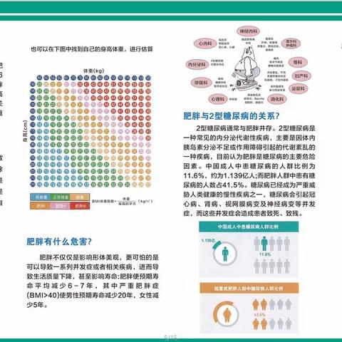 肥胖离你有多远