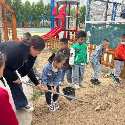 【班本课程】乐享丰收，好“食”“花生”——康居幼儿园中二班花生🥜种植记