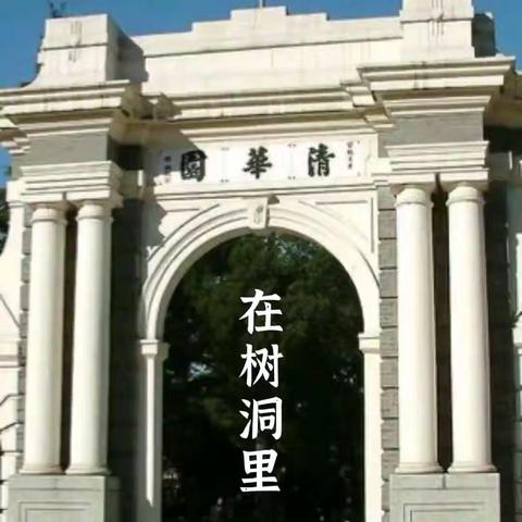 在树洞里