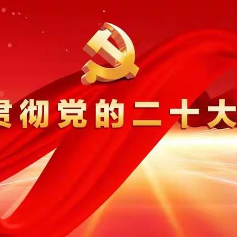 踔厉奋发育英才 勇毅前行担使命——恒大御景湾实验小学校党支部二十大精神宣讲暨十二月主题党日活动