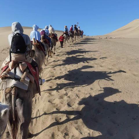 甘青之旅下
