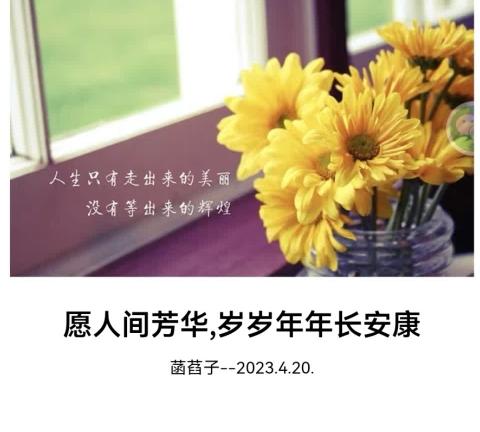 愿人间芳华 岁岁年年长安康